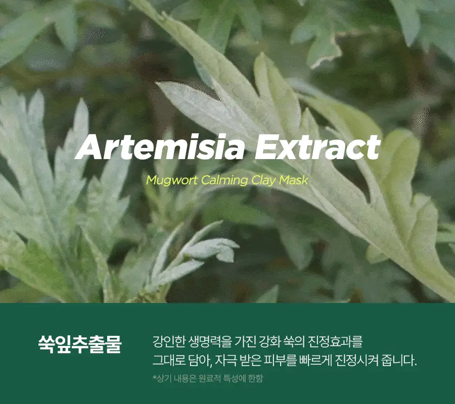 [NCT 재민PICK] 이즈앤트리 머그워트 카밍 클레이 마스크 100ml 상세페이지 19